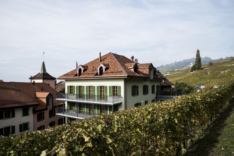 Transformation d'une maison vigneronne