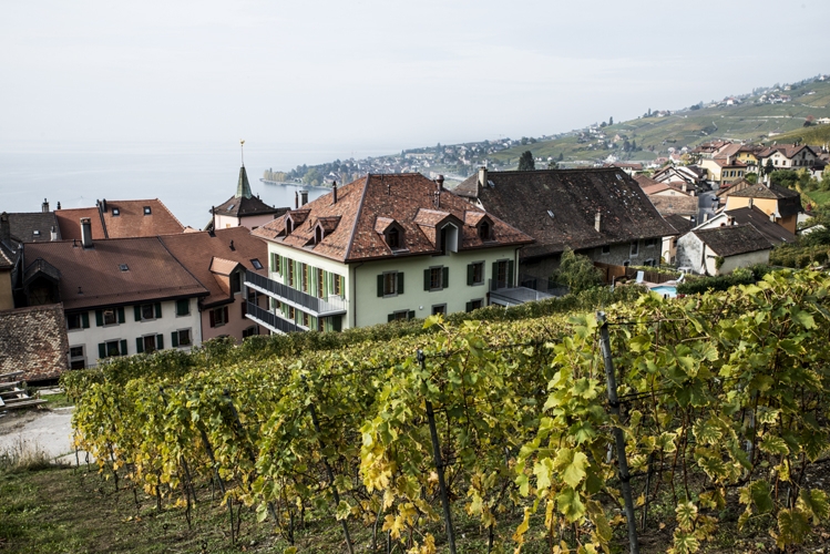 Transformation d'une maison vigneronne